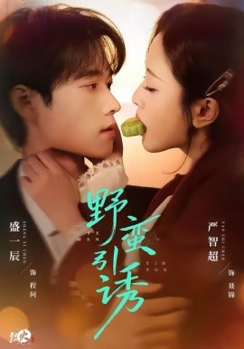间谍过家家